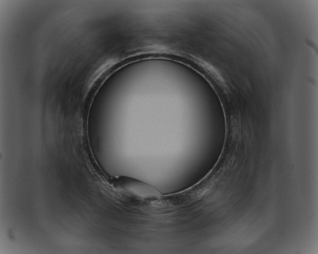 X0000095681318200801221217