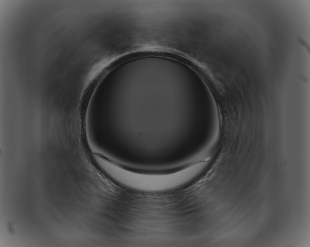 X0000095681319200801221217