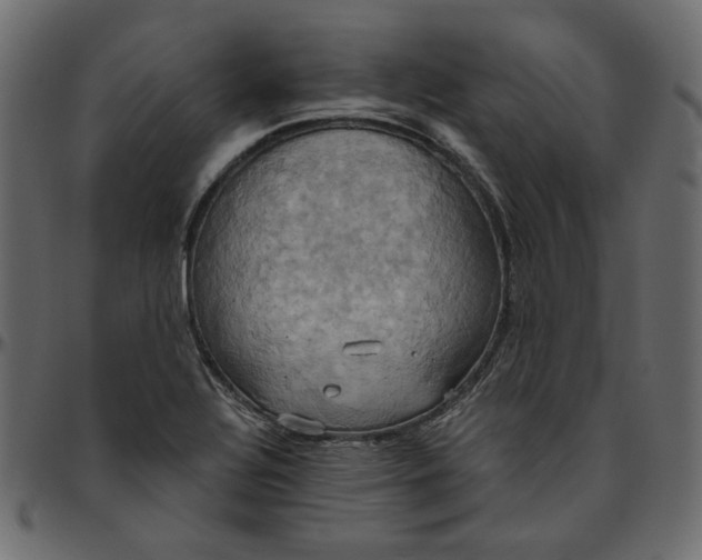 X0000095681320200801221217