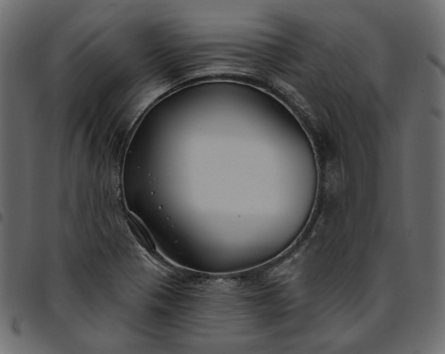 X0000095681321200801221217