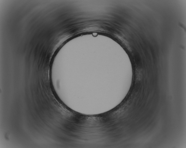 X0000095681322200801221217