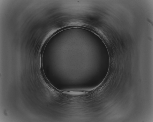 X0000095681323200801221217