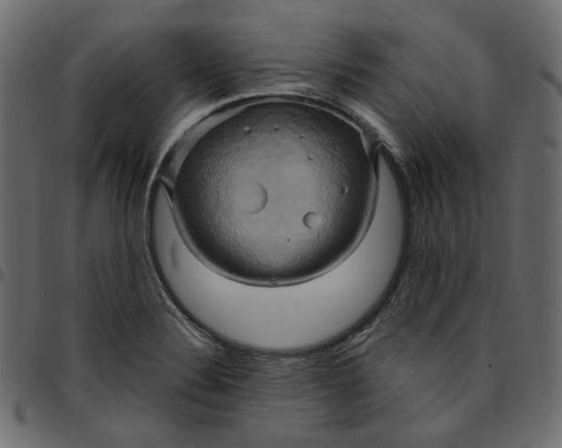 X0000095681324200801221218