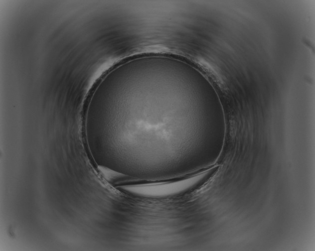 X0000095681326200801221218