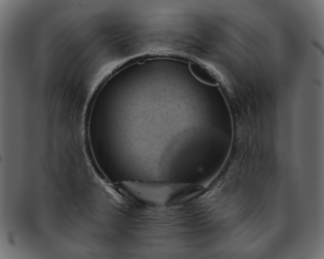X0000095681327200801221218