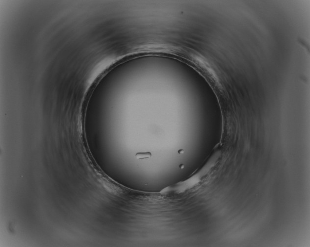 X0000095681328200801221218