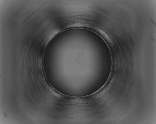 X0000095681329200801221218