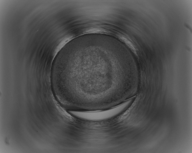 X0000095681330200801221218