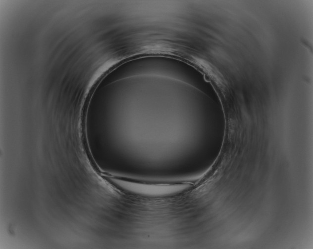 X0000095681331200801221218