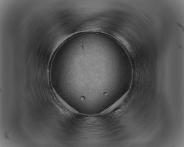 X0000095681332200801221218