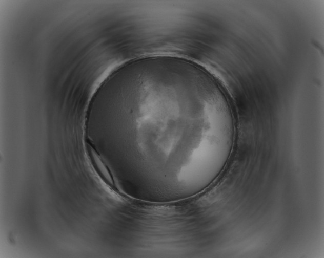 X0000095681333200801221218