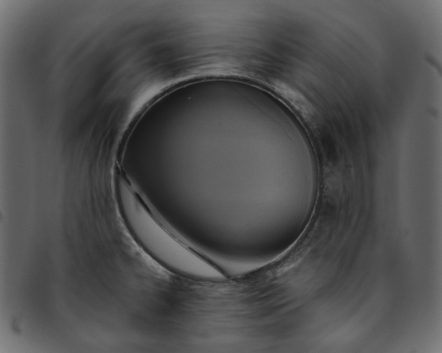 X0000095681334200801221218