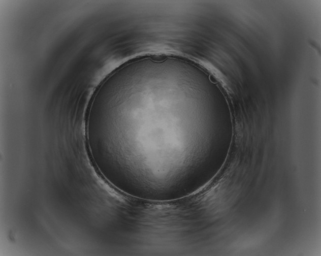 X0000095681335200801221218