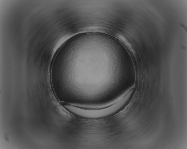 X0000095681336200801221218