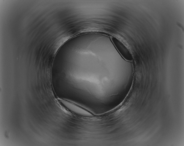 X0000095681337200801221218