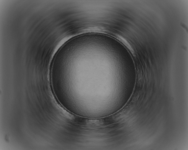 X0000095681339200801221218