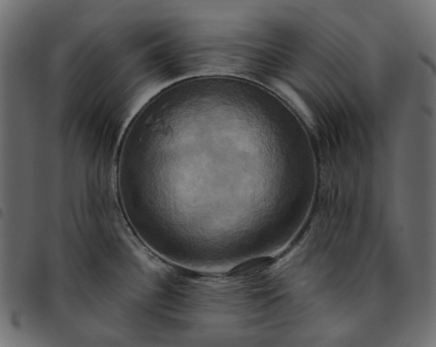 X0000095681340200801221218