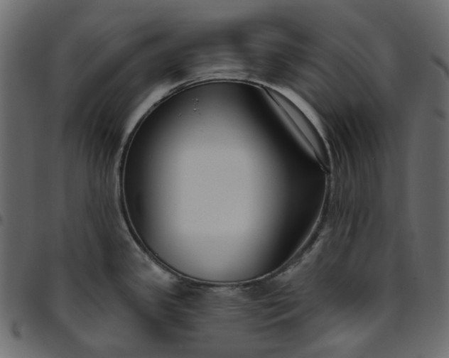 X0000095681341200801221218