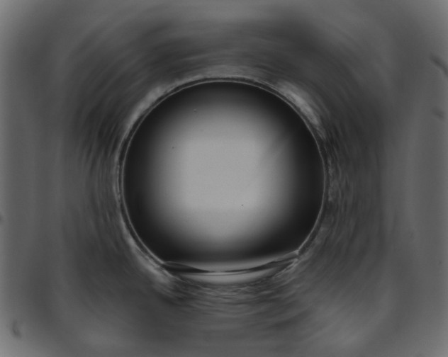 X0000095681342200801221218