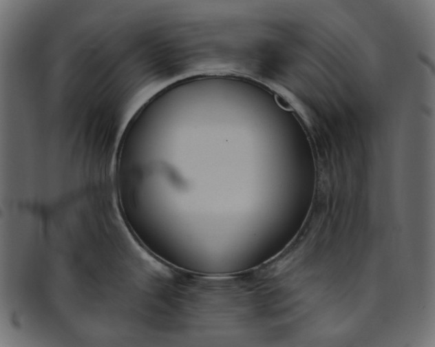 X0000095681343200801221218