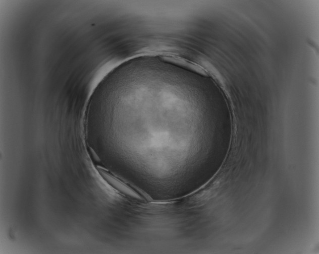 X0000095681344200801221218