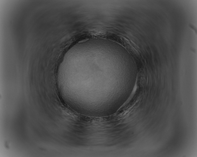 X0000095681345200801221217