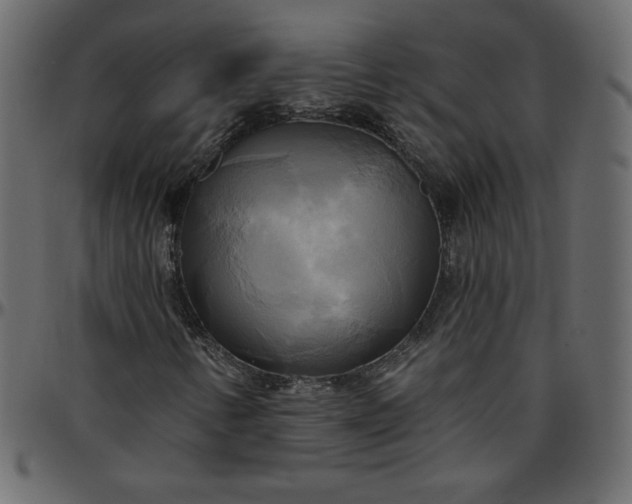 X0000095681346200801221217