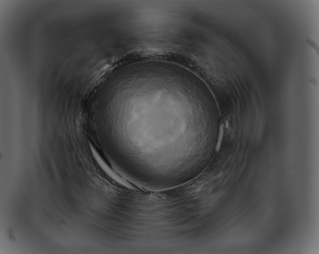 X0000095681348200801221217