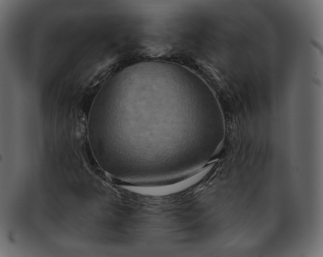 X0000095681349200801221217