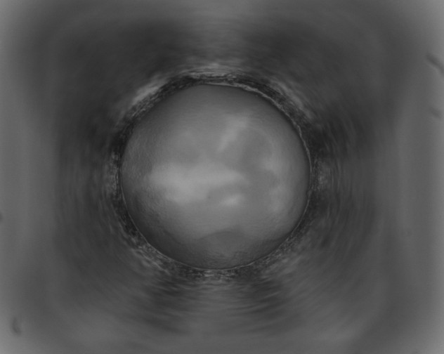 X0000095681350200801221217