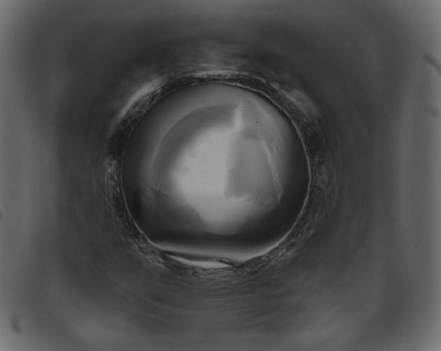 X0000095681351200801221217