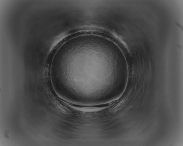 X0000095681352200801221217