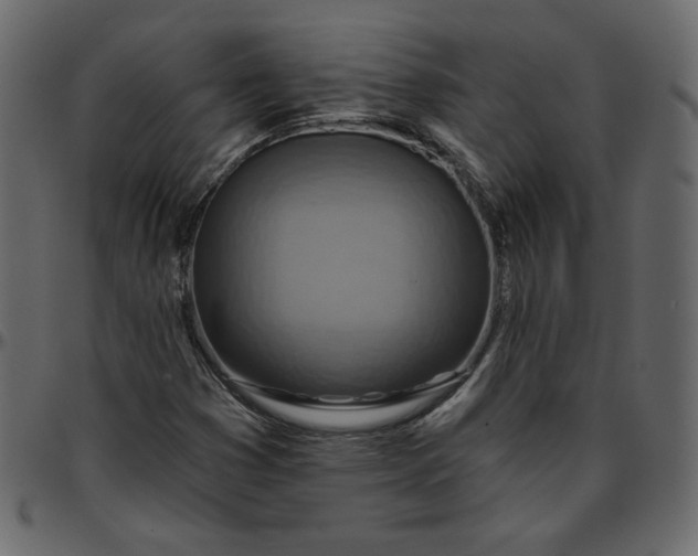X0000095681353200801221217