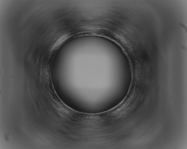 X0000095681354200801221217