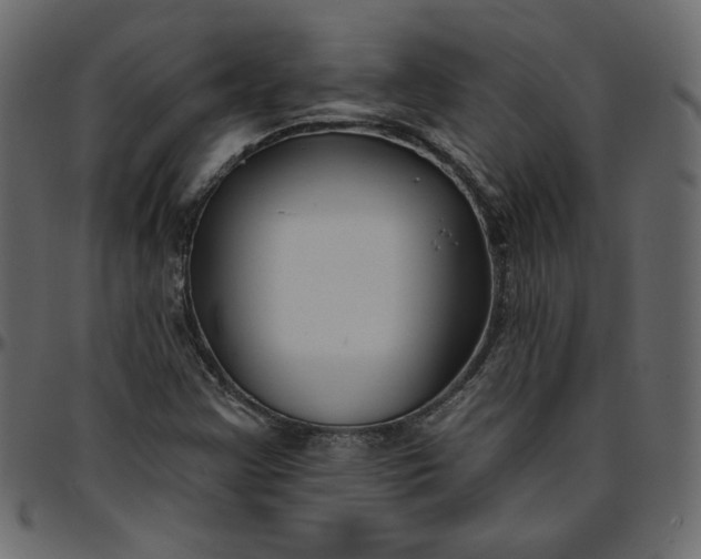 X0000095681355200801221217
