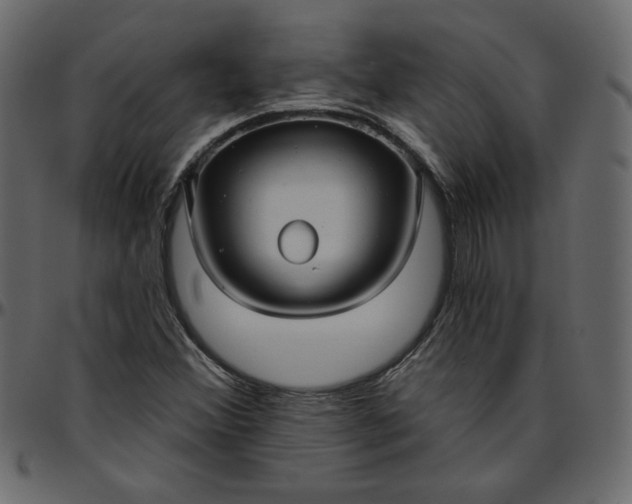 X0000095681356200801221217