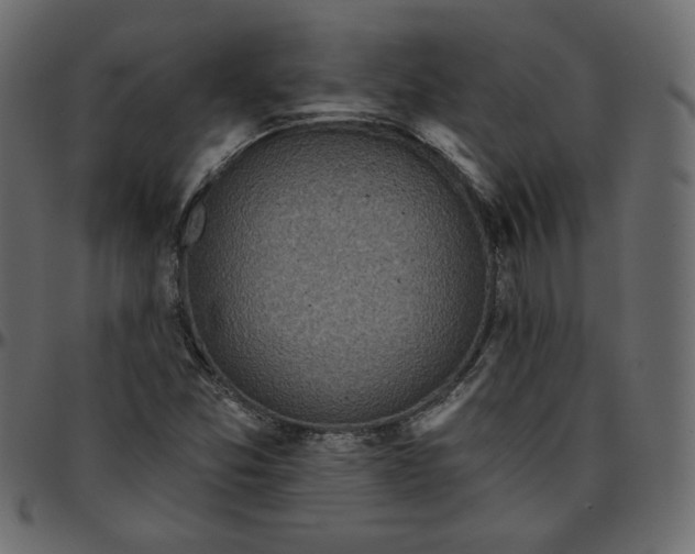 X0000095681357200801221217