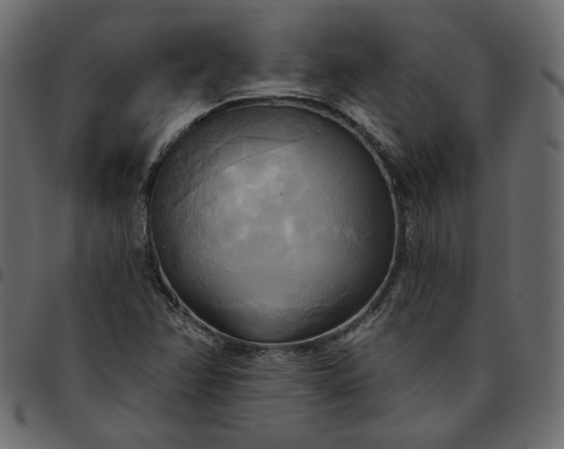 X0000095681358200801221217