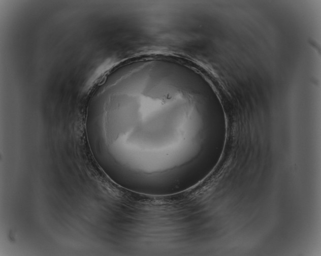 X0000095681359200801221217