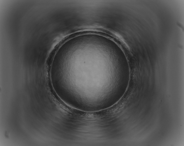 X0000095681360200801221217