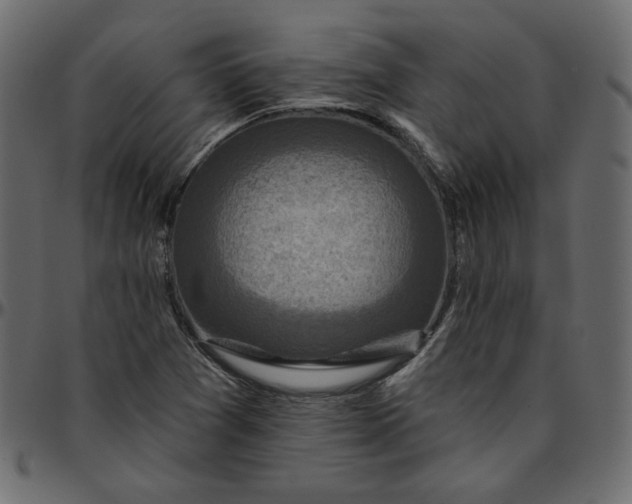 X0000095681361200801221217