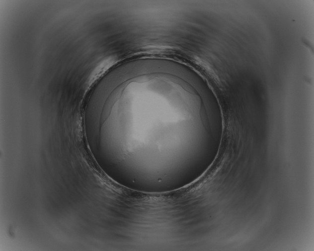 X0000095681362200801221217