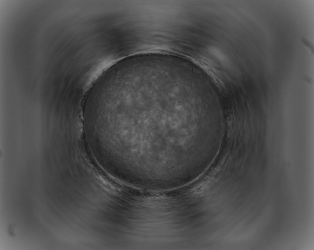 X0000095681363200801221217