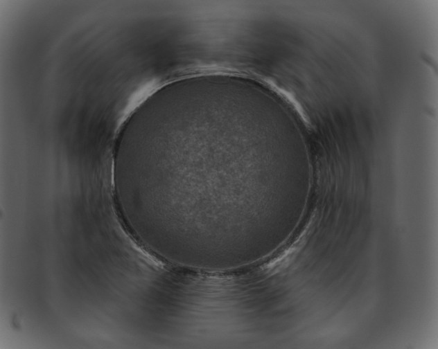 X0000095681365200801221217