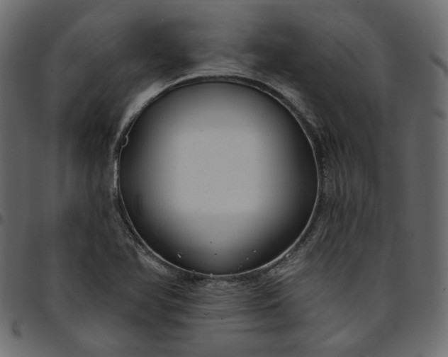 X0000095681366200801221217
