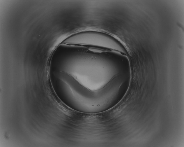 X0000095681367200801221217