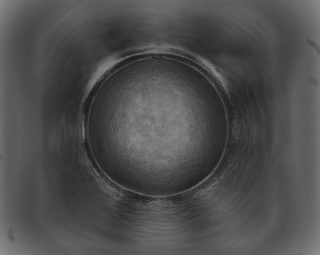 X0000095681368200801221217