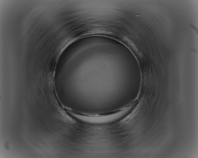 X0000095681369200801221217