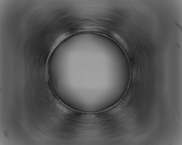 X0000095681370200801221217