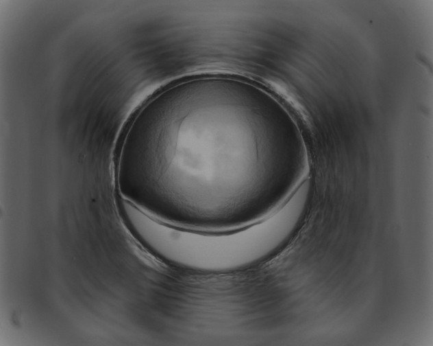 X0000095681372200801221217
